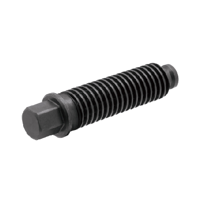 CLAMPING SCREW